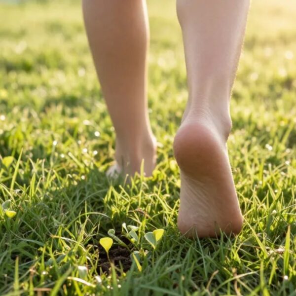 6【穩定】一步，就好｜線上陪伴